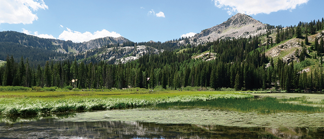 Outdoor Retailer SHOW